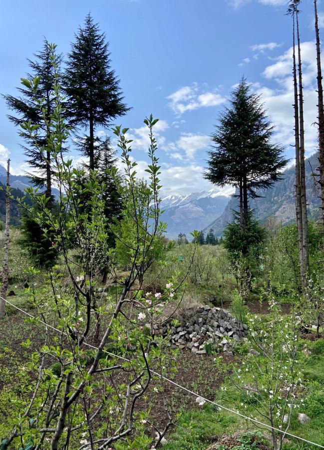 Getaway Stays Manali Exterior foto